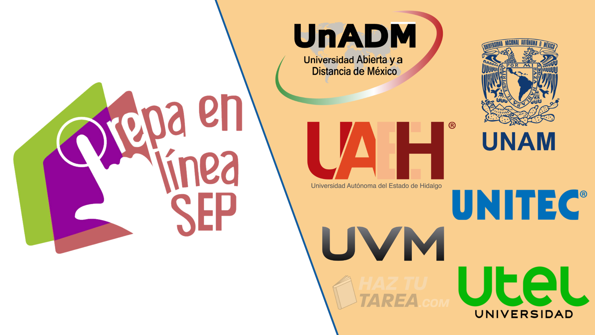 Collage de logos de diversas universidades en México, mostrando la amplia oferta de educación superior en el país. Incluye instituciones públicas y privadas, para estudiantes mexicanos e internacionales.